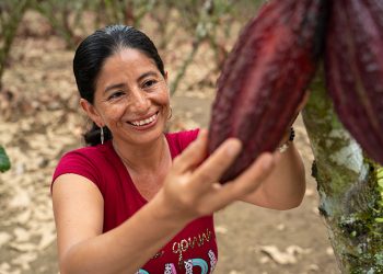 Plan Cacao de Nestlé destaca a las mujeres que están impulsando una nueva era para el agro y el cacao ecuatoriano