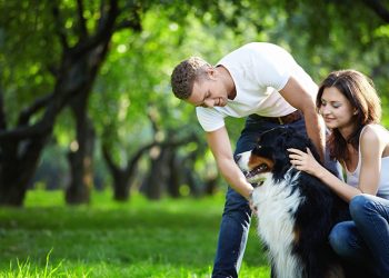 PROTEGE LA SALUD CUTÁNEA DE TU MASCOTA CON UNA BUENA ALIMENTACIÓN Y CUIDADOS