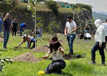 Un respiro para la ciudad: 420 árboles se siembran en el área del Escalón Tumbaco