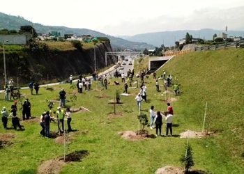 Un futuro más verde: Adopción de espacios Públicos por Proaño | Proaño