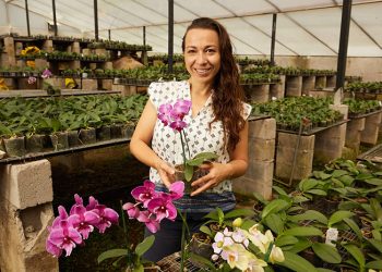 Productores de Valor: impulsando el desarrollo sostenible y el mejoramiento de la calidad de vida en el campo