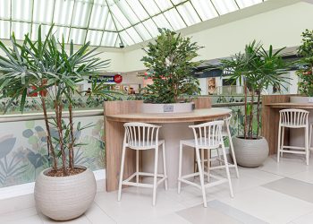 PoliWorking: El Nuevo Espacio Gratuito de Coworking en Policentro para Estudiantes, Profesionales y Teletrabajadores