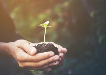 Cirion publica su segundo Informe de Sostenibilidad: Comprometidos con el crecimiento responsable