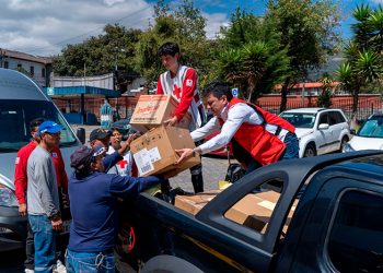 Vita Alimentos donó más de 300 mil raciones de alimentos a la comunidad durante 2024