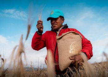 Cervecería Nacional se convierte en socio oficial del Día Mundial de la Ingeniería 2025 de la UNESCO