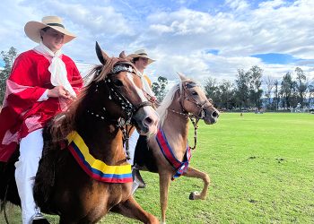 Caballo peruano de paso, un símbolo de historia y tradición que brillará en concurso en Quito