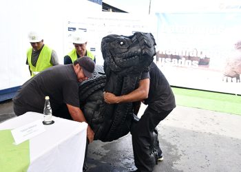 Ecuador marca un precedente mundial al retirar y procesar más de 47.000 neumáticos del archipiélago de Galápagos