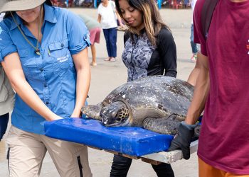 NIRSA reafirma su liderazgo en sostenibilidad con destacados reconocimientos