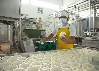 Queso Mozzarella Light y Deslactosado reflejó un crecimiento del 91% de volumen durante el 2024