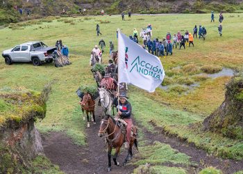 22 de mayo, Día de la Biodiversidad: Acción Andina impulsa la restauración ecológica como respuesta a la pérdida de biodiversidad en Sudamérica