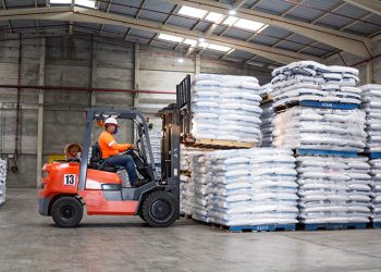 Skretting Ecuador: Alimentación estratégica en todas las etapas del cultivo para un camarón más saludable y rentable