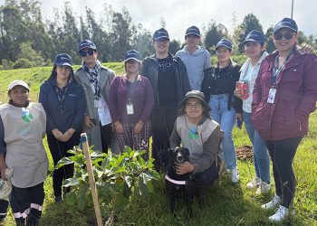 Sector empresarial impulsa acciones ambientales con jornada de reforestación en zonas estratégicas de Quito