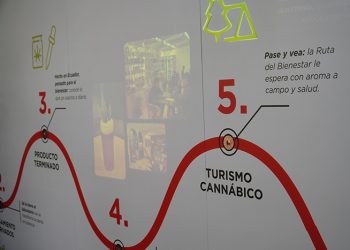 Ecuador rompe estigmas con su primera experiencia educativo sobre cannabis no psicoactivo y cáñamo industrial