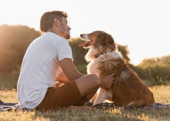 Día Mundial del Perro: celebrar, adoptar y cuidar con responsabilidad