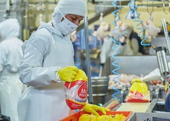 El pollo lidera el consumo de proteínas en el Ecuador