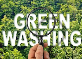 Cuidado con el «GreenWashing»: La clave para evaluar el verdadero compromiso empresarial