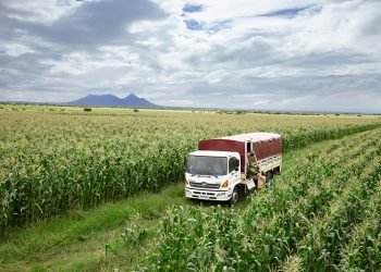 Mantenimiento inteligente: la clave para evitar fallas costosas en vacaciones