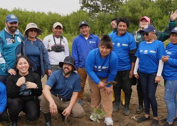 NIRSA refuerza su compromiso ambiental con acciones para la restauración y protección de los manglares