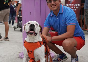 YUMMY SHOP DECIMOSEXTA EDICIÓN REUNIRÁ A MÁS DE 98 EMPRENDEDORES GASTRONÓMICOS Y MÁS DE 25.000 VISITANTES