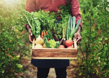 Día del Agricultor Ecuatoriano: oportunidades para el desarrollo del sector