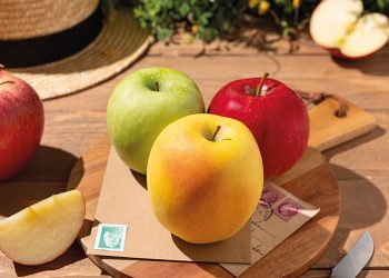 DEL CORAZÓN DE EUROPA AL PALADAR DE ECUADOR — COMIENZA LA TEMPORADA 2025 DE MANZANAS FRANCESAS