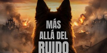 Iniciativa de Casa Pica visibiliza el impacto de la pirotecnia en las mascotas en fin de año