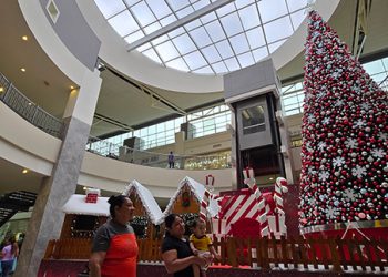 HORARIOS DE ATENCIÓN DE MALL DEL SUR POR TEMPORADA NAVIDEÑA Y FIN DE AÑO