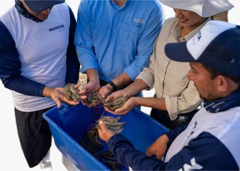 Vitapro consolida una visión de futuro para una acuicultura en transformación