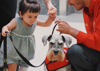 El acompañamiento emocional como parte esencial de la atención médica integral y la salud mental