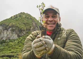 Corporación Favorita superará los 275.000 árboles sembrados para 2028