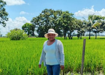 Más de 2 millones de mujeres impulsan el agro ecuatoriano: el liderazgo femenino que transforma la agricultura del país