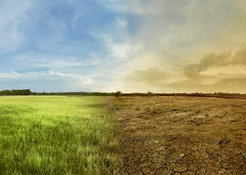 La agricultura ecuatoriana frente al clima extremo: innovación, agua y sostenibilidad marcan el camino