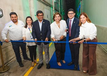 Tecnología y almacenamiento inteligente fortalecen la cadena de papa en Ecuador