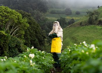 Proteger al agricultor: una urgencia que se siente en la piel del campo ecuatoriano
