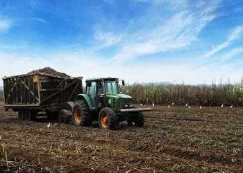 PLANIFICACIÓN, TECNOLOGÍA Y SOSTENIBILIDAD: ASÍ SE CULTIVA EL AZÚCAR QUE LLEGA A MILLONES DE HOGARES ECUATORIANOS