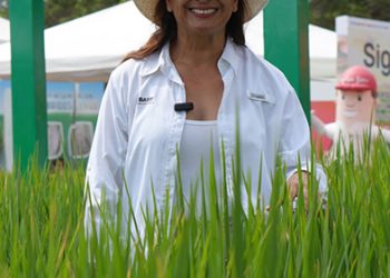 El nuevo rostro del agro ecuatoriano: ingenieros agrónomos lideran la revolución digital en el campo