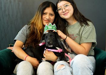 MaxiPets presenta Rescue Cup 2026: el fútbol se convierte en una herramienta de transformación para el rescate animal en Ecuador