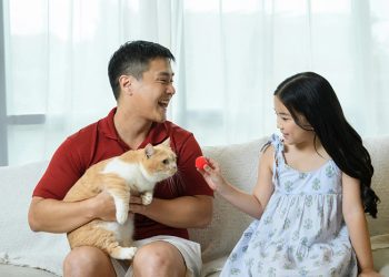 Veterinarios especialistas en felinos advierten sobre el impacto del clima y la necesidad de prevenir enfermedades