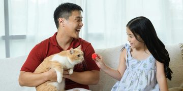 Veterinarios especialistas en felinos advierten sobre el impacto del clima y la necesidad de prevenir enfermedades