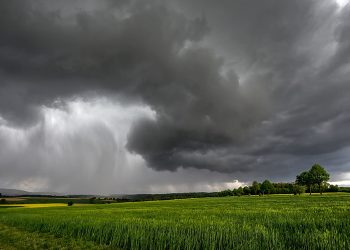 La prevención empieza antes de las lluvias: claves para proteger los cultivos frente a El Niño