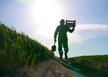 La anticipación marcará la diferencia en la productividad de los cultivos frente a El Niño