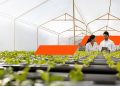 El cambio climático ya es la segunda mayor amenaza para los negocios en Ecuador, revela la Encuesta Global de CEOs de PwC