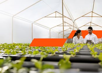 El cambio climático ya es la segunda mayor amenaza para los negocios en Ecuador, revela la Encuesta Global de CEOs de PwC