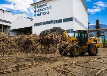 En Imbabura, la caña encuentra nuevas formas de generar valor