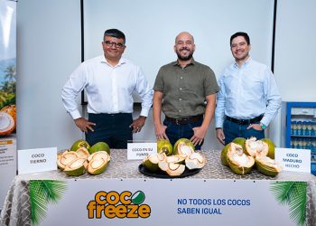 Del campo a la cosecha: una experiencia revela cómo se transforma el coco ecuatoriano hasta llegar a su punto exacto